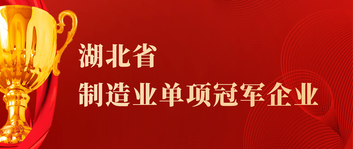 邁信電氣榮獲“湖北省制造業(yè)單項冠軍企業(yè)”